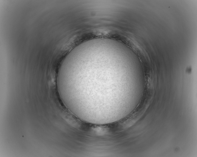 X0000090420561200707272113