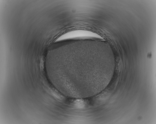 X0000090420562200707272113