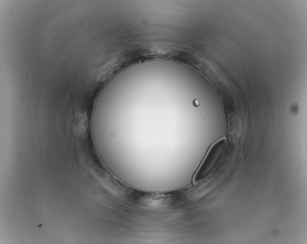 X0000090420563200707272113