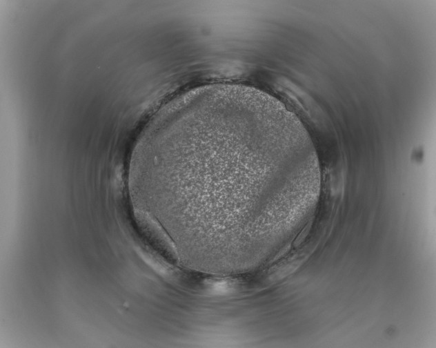 X0000090420564200707272113