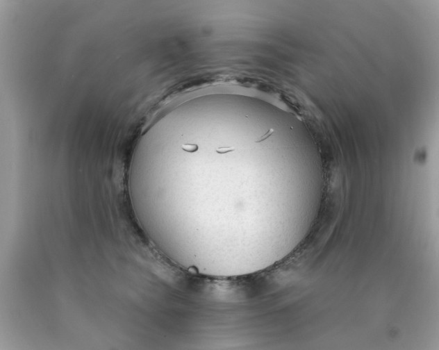 X0000090420565200707272113