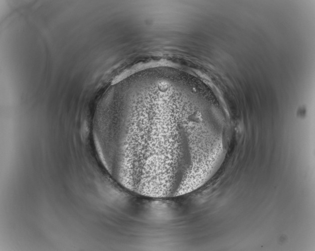 X0000090420566200707272113