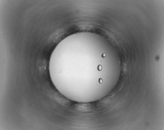 X0000090420567200707272113