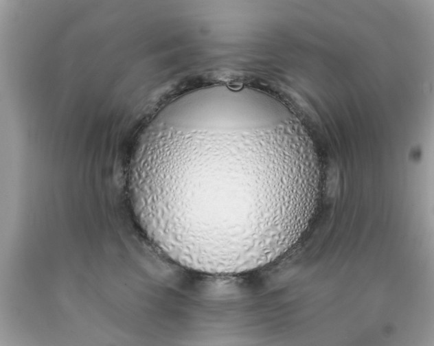 X0000090420569200707272113