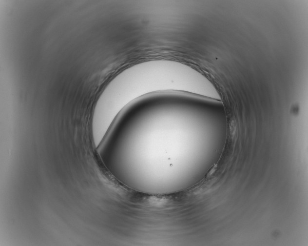 X0000090420570200707272113