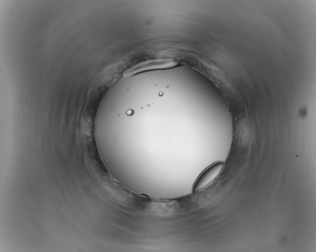 X0000090420571200707272113