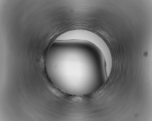 X0000090420572200707272113