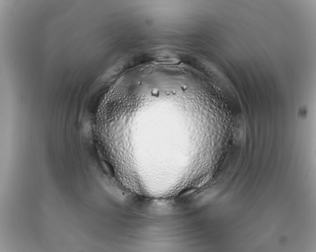 X0000090420573200707272113