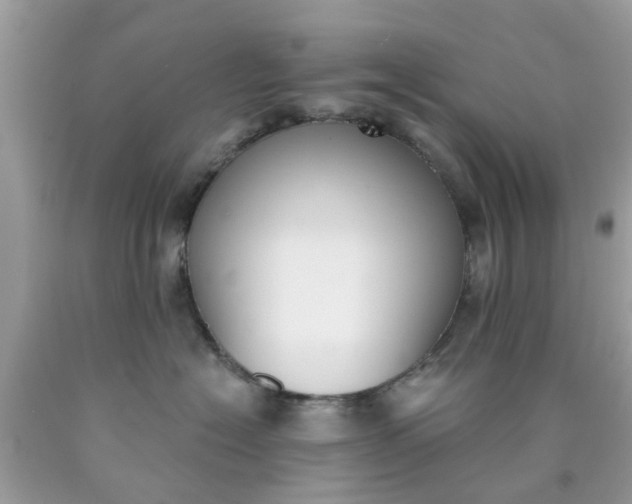 X0000090420574200707272113