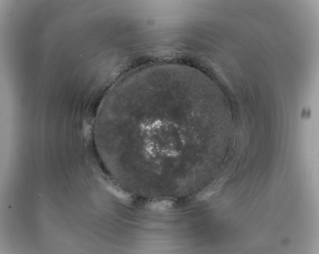 X0000090420576200707272113