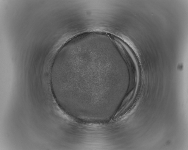 X0000090420577200707272112