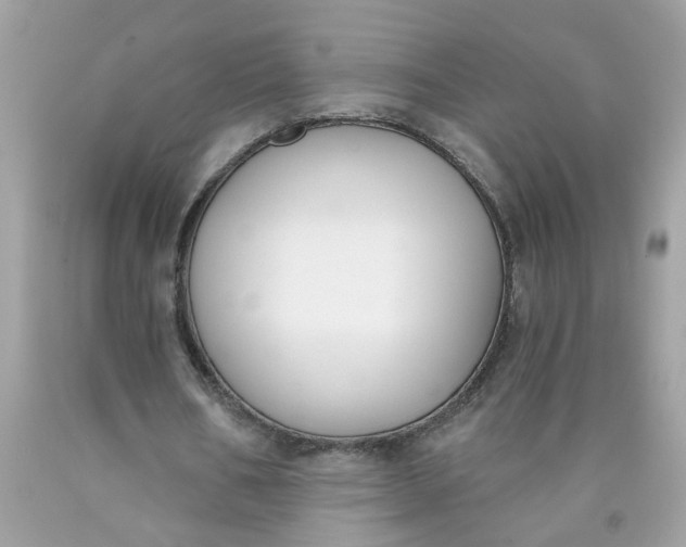 X0000090420578200707272112