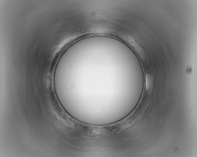 X0000090420579200707272112