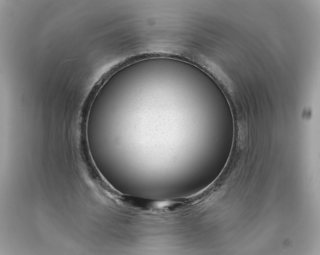 X0000090420580200707272112