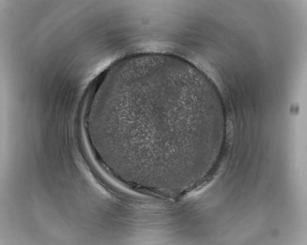 X0000090420581200707272112