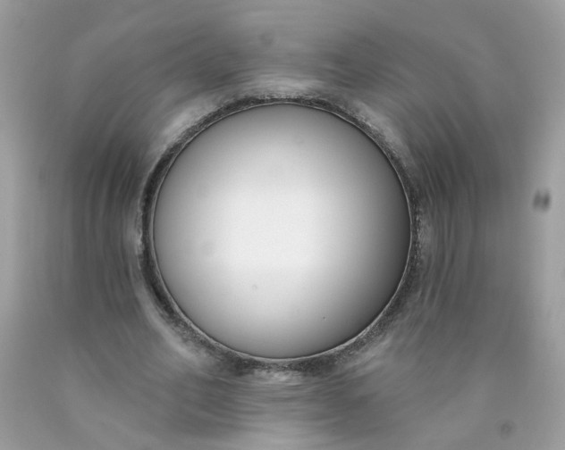 X0000090420582200707272112