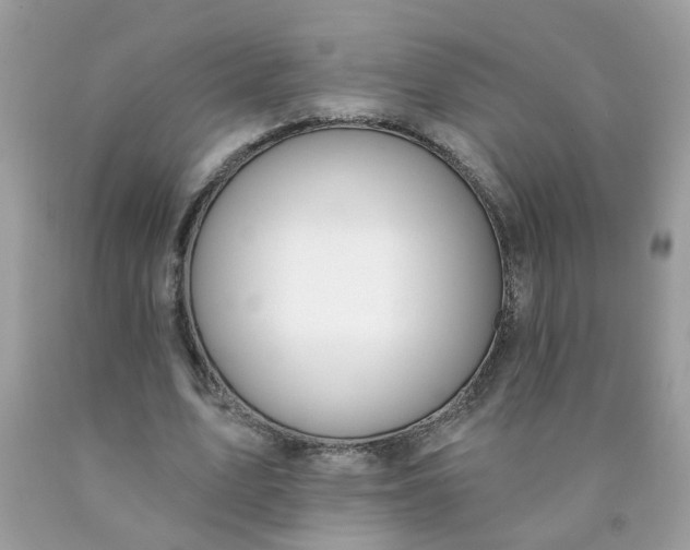 X0000090420583200707272112