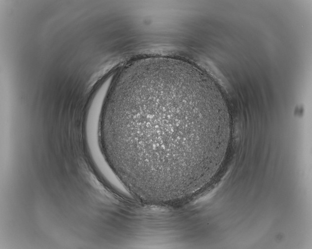 X0000090420585200707272112