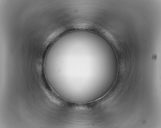 X0000090420586200707272112