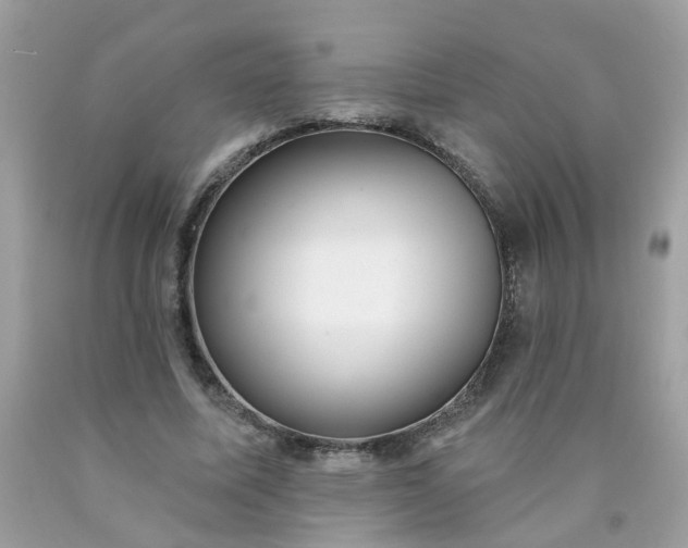 X0000090420587200707272112