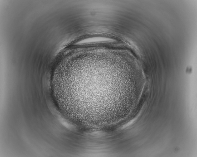 X0000090420589200707272112