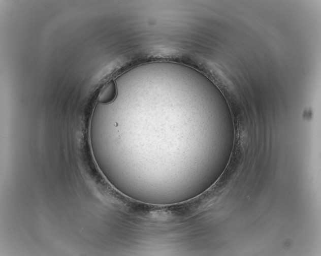 X0000090420591200707272112