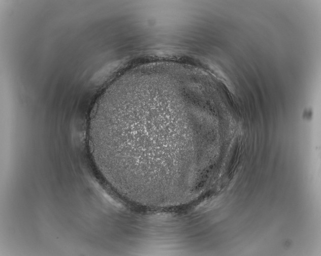 X0000090420593200707272112