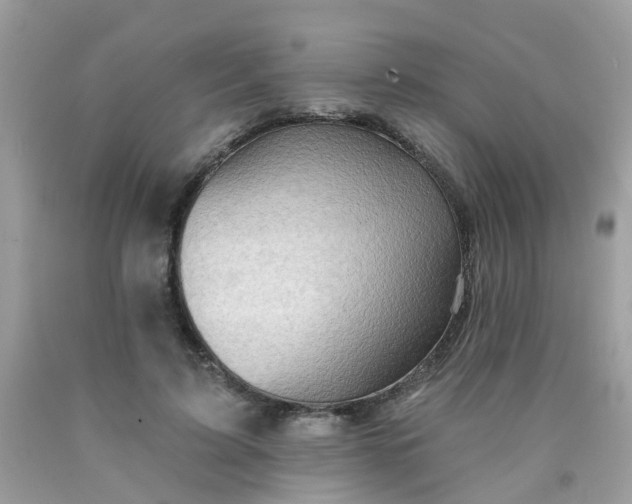 X0000090420595200707272112