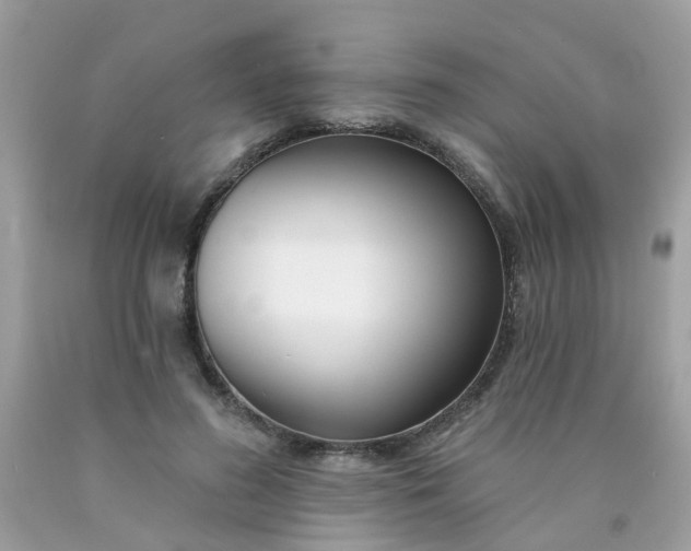 X0000090420596200707272112