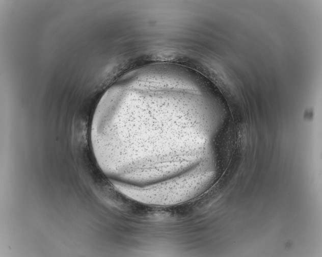 X0000090420598200707272112