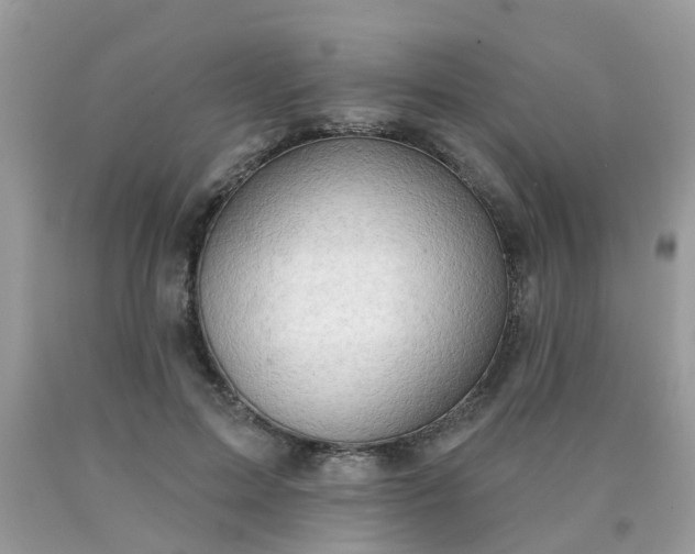 X0000090420599200707272112