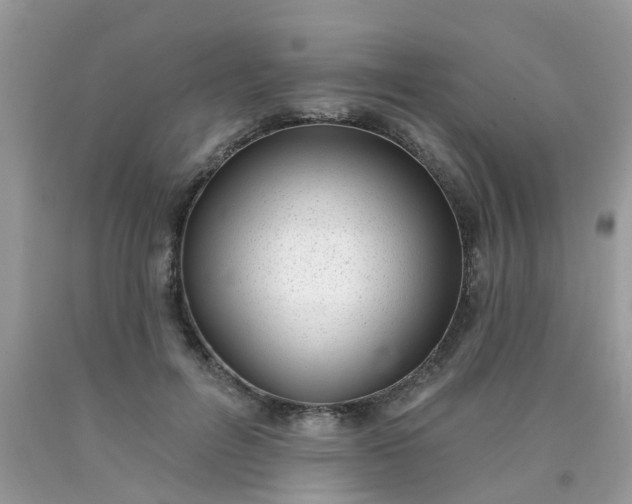 X0000090420600200707272112