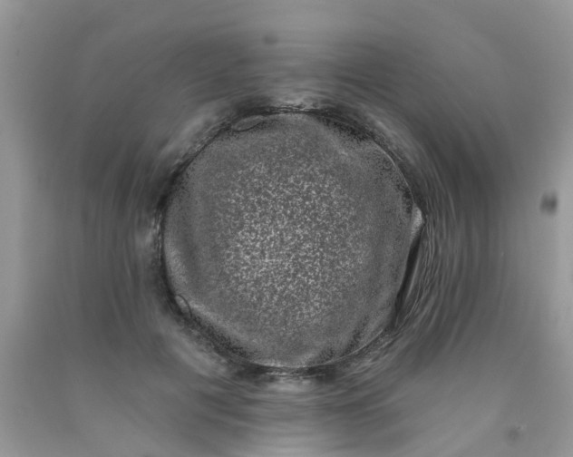 X0000090420601200707272112