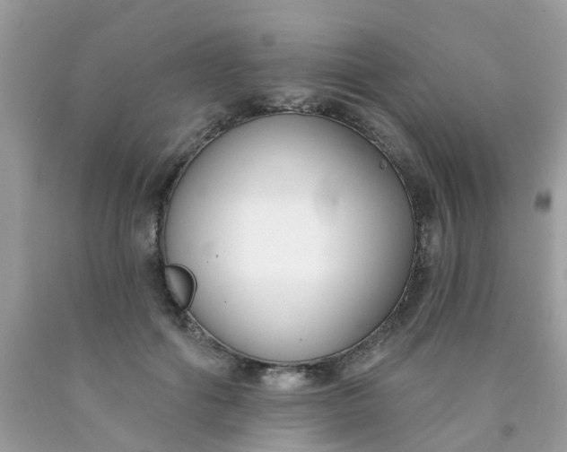 X0000090420602200707272112