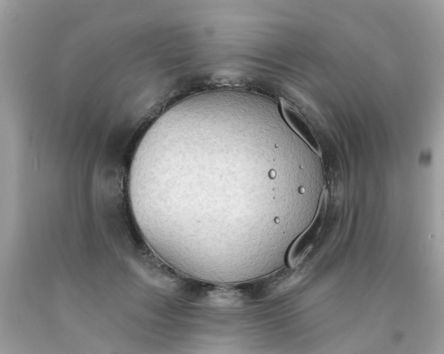 X0000090420603200707272112