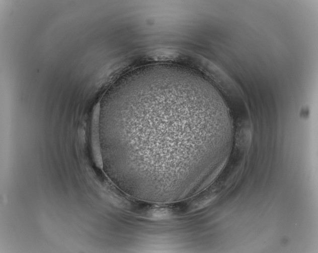 X0000090420604200707272112