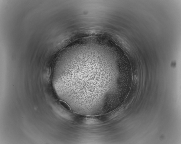 X0000090420605200707272112