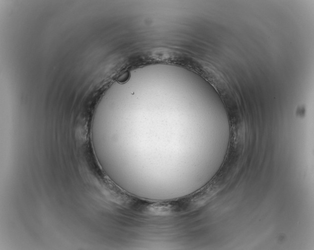 X0000090420606200707272112