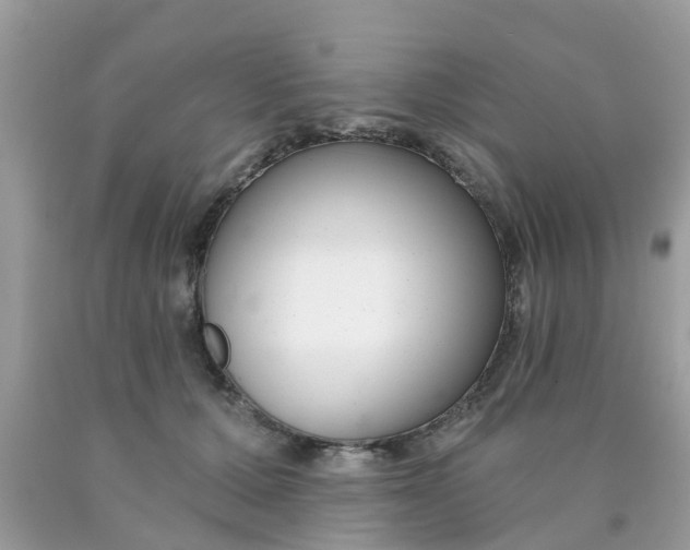 X0000090420607200707272112