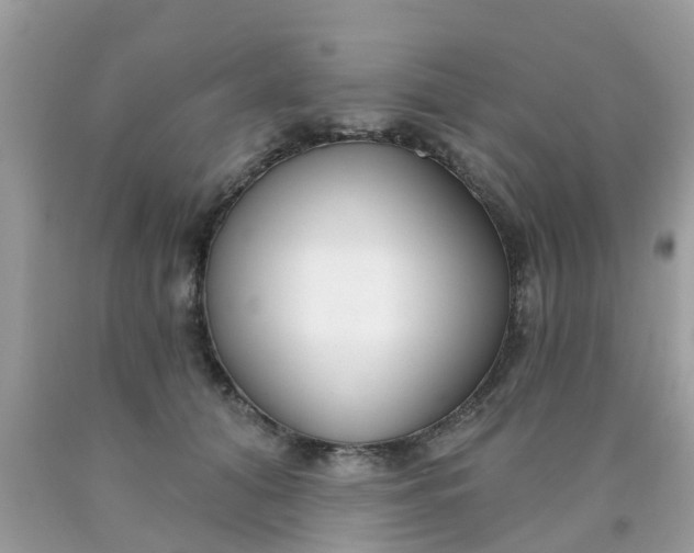 X0000090420608200707272112