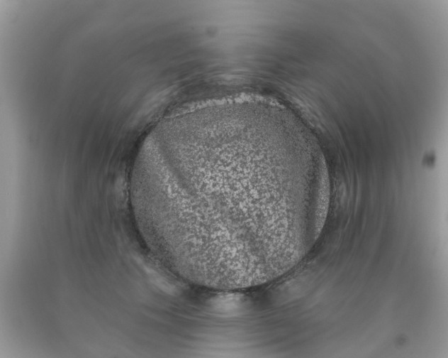 X0000090420609200707272112