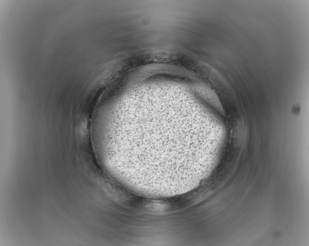 X0000090420610200707272112