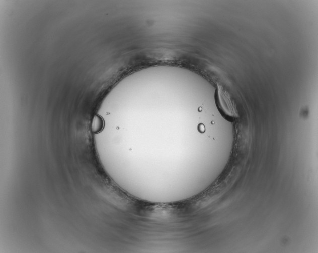 X0000090420612200707272112