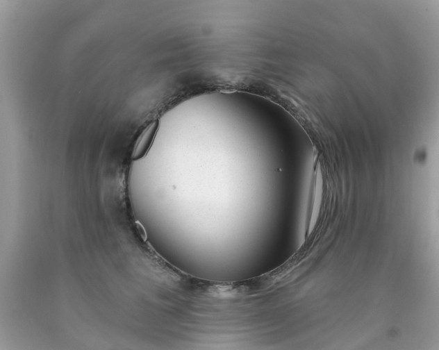 X0000090420613200707272112