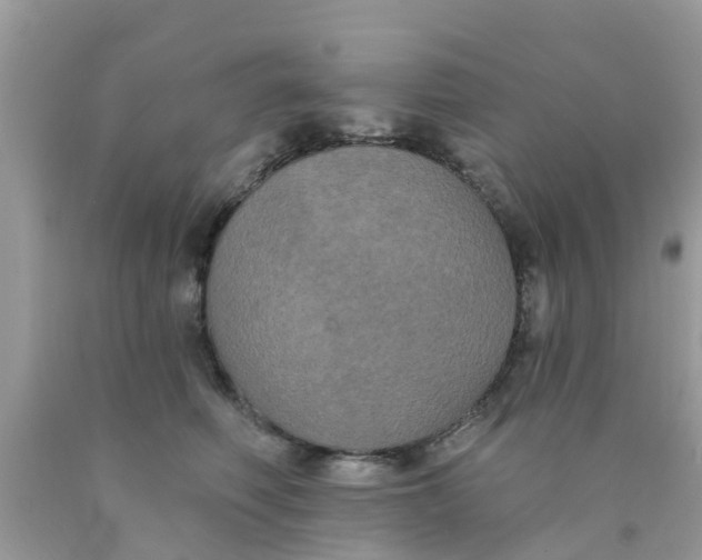 X0000090420614200707272112