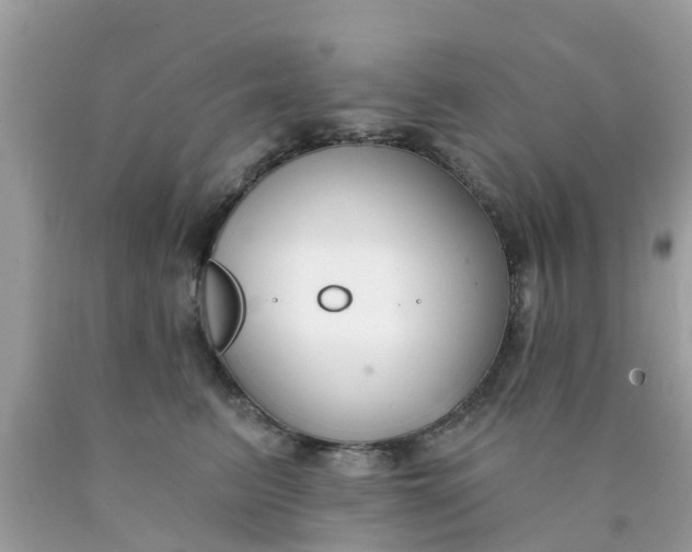 X0000090420615200707272112