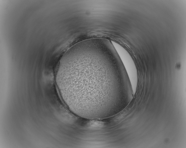 X0000090420617200707272112