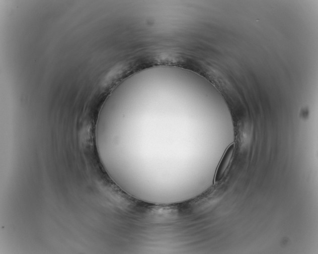 X0000090420619200707272112