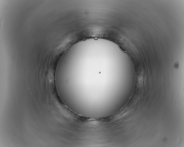 X0000090420620200707272112