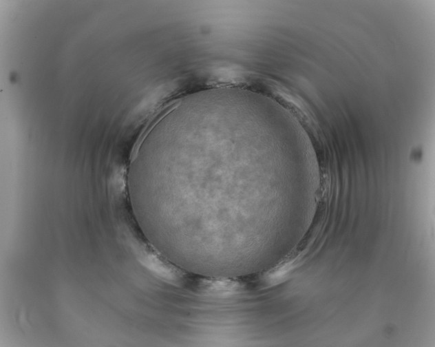 X0000090420621200707272112